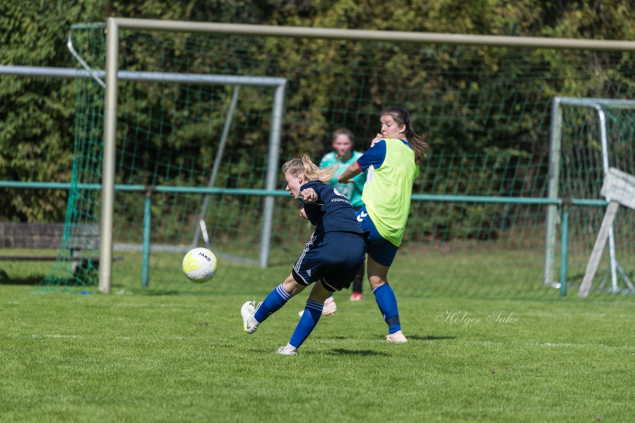 Bild 175 - B-Juniorinnen VfL Pinneberg - HSV : Ergebnis: 1:4